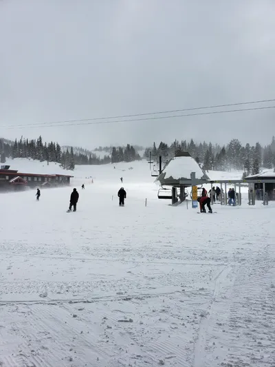 20190516_134506 (Large).jpg